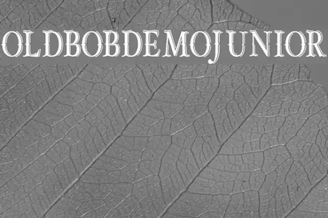 OLD BOB DEMO JUNIOR Font examples