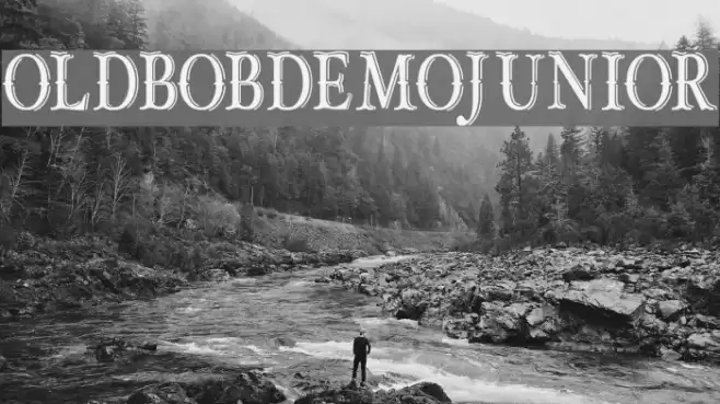 OLD BOB DEMO JUNIOR Font examples