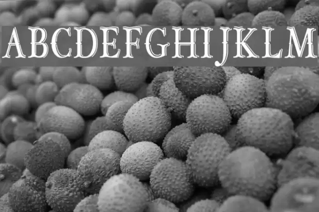 OLD BOB JUNIOR_demo Font examples