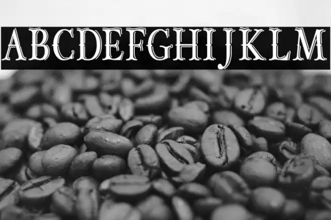 OLD BOB JUNIOR Font examples