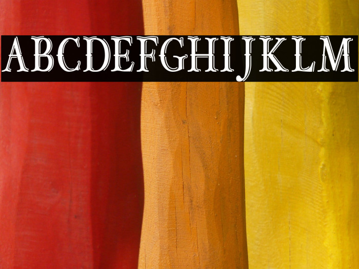 OLD BOB JUNIOR Example 2