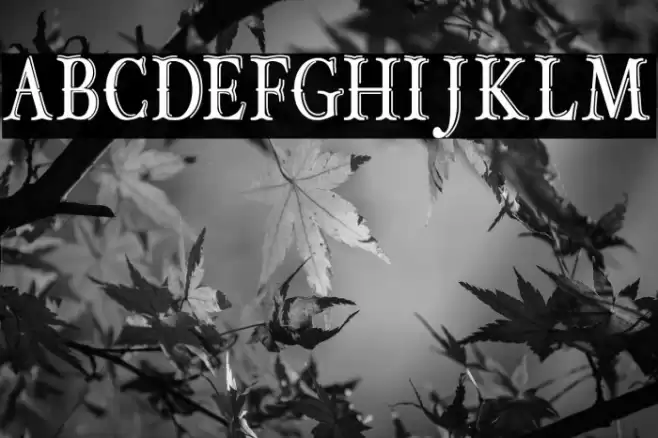 OLD BOB JUNIOR Font examples