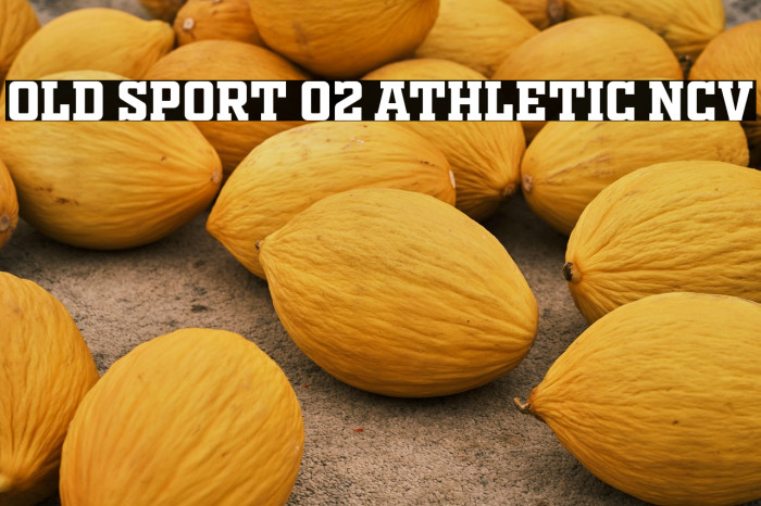 OLD SPORT 02 ATHLETIC NCV Example 1