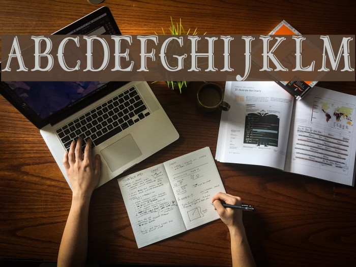 OLDBOBDEMOJUNIOR Font examples