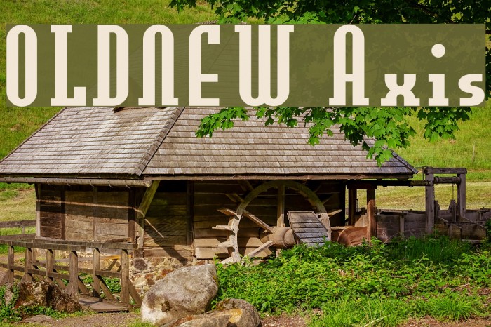 OLDNEW Axis Font examples