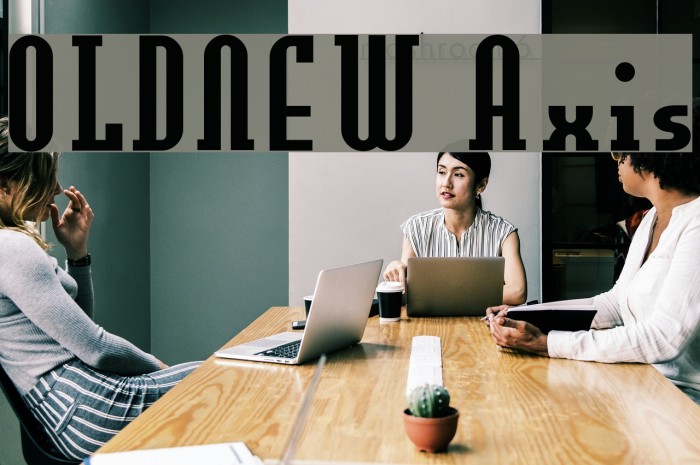 OLDNEW Axis Font examples