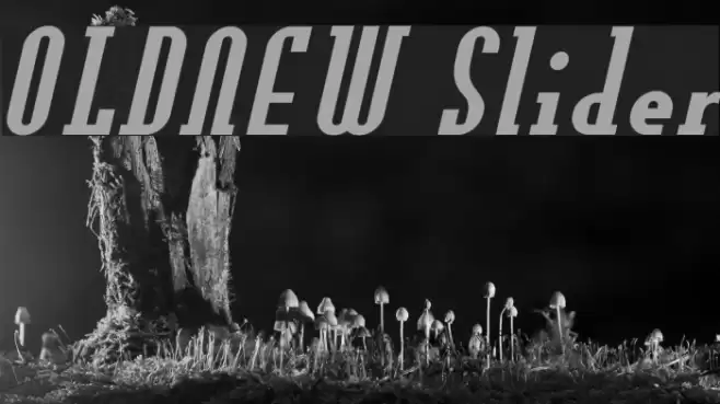 OLDNEW Slider Font examples