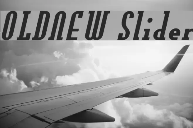 OLDNEW Slider Font examples