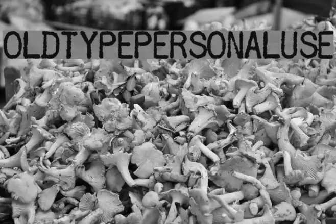 OLDTYPEPERSONALUSE خط examples