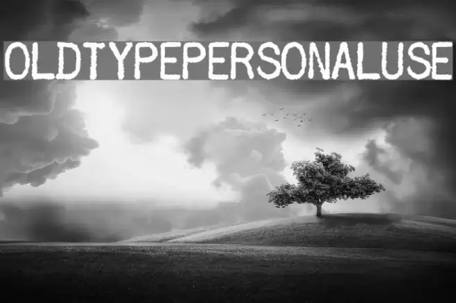 OLDTYPEPERSONALUSE خط examples