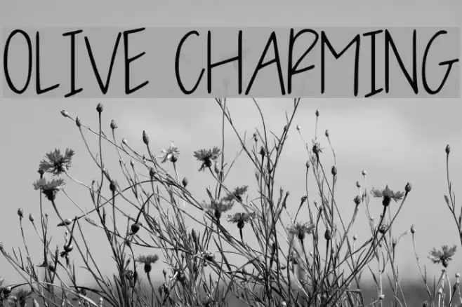 OLIVE CHARMING फ़ॉन्ट examples
