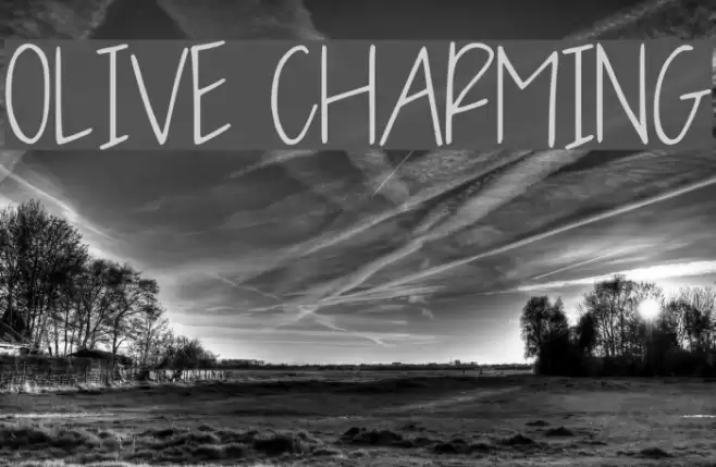 OLIVE CHARMING फ़ॉन्ट examples