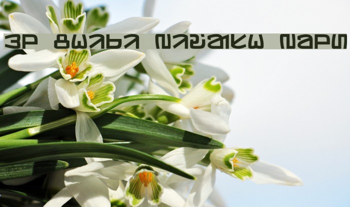 Ol Chiki Bivash Bold Example 2