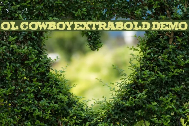 Ol Cowboy ExtraBold DEMO Example 3
