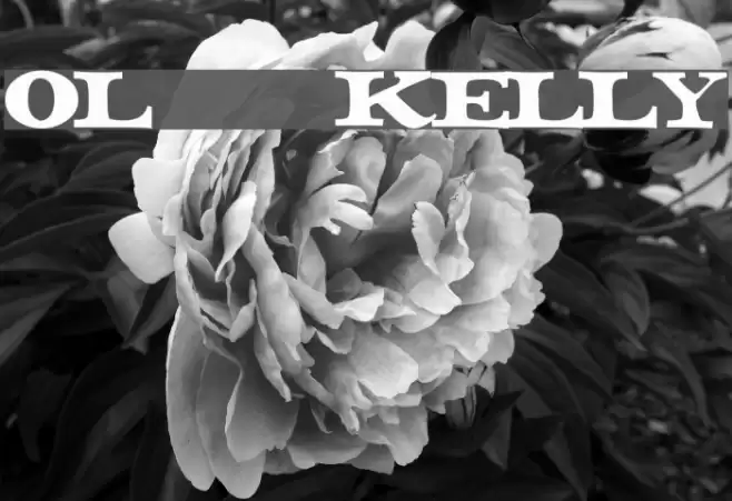 Ol' Kelly Font examples