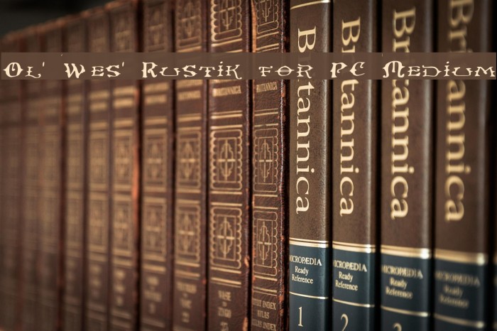 Ol' Wes' Rustik for PC Medium Example 2