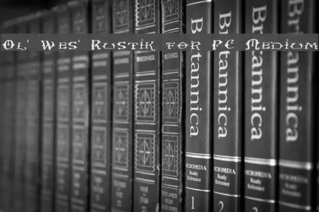 Ol' Wes' Rustik for PC Medium Font examples