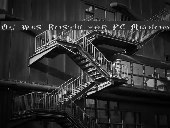 Ol' Wes' Rustik for PC Medium Font examples