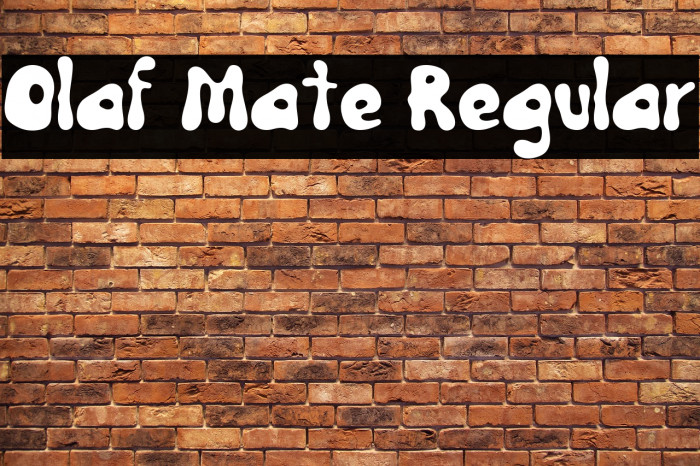 Olaf Mate Regular Example 2