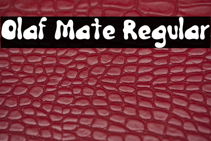 Olaf Mate Regular Example 3