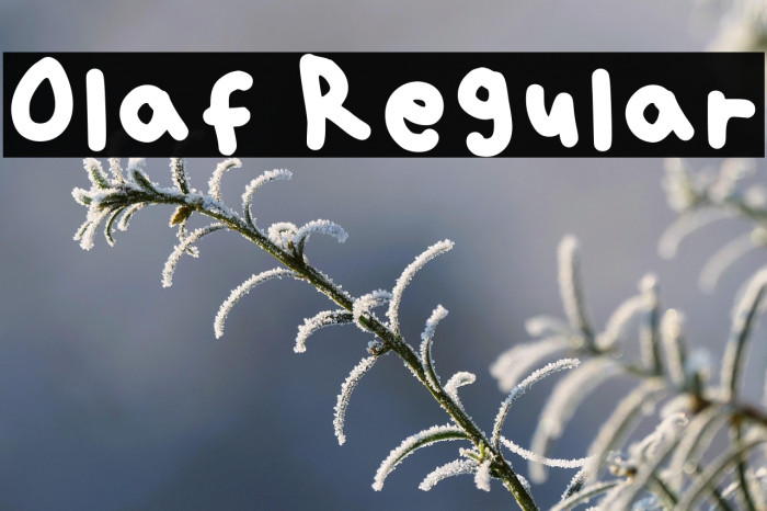 Olaf Regular Example 1