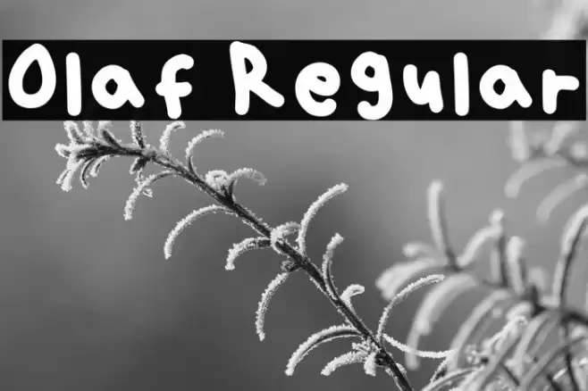 Olaf Regular Font examples