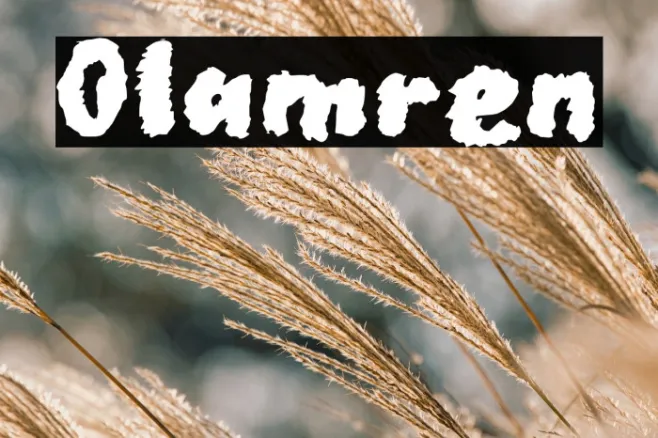Olamren Example 1