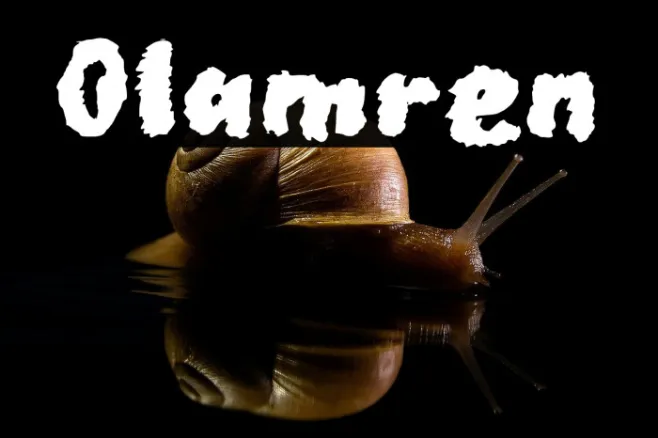 Olamren Example 2
