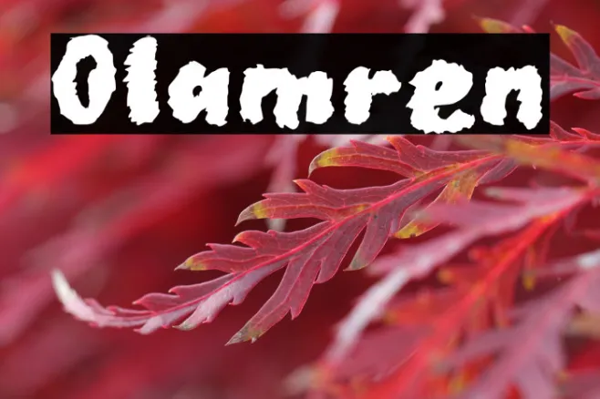 Olamren Example 3