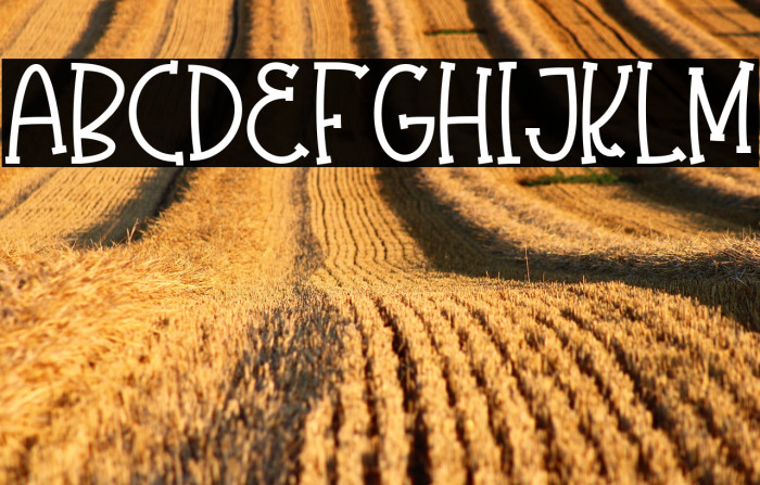 Olaugh Bold Example 1