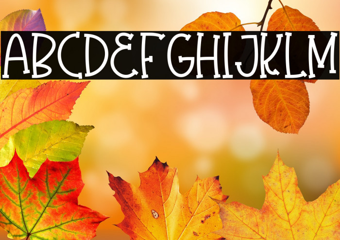 Olaugh Bold Example 2