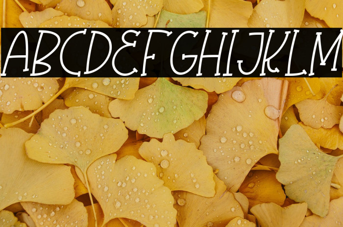 Olaugh Italic Example 2