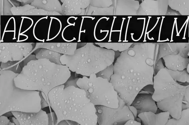 Olaugh Italic Font examples