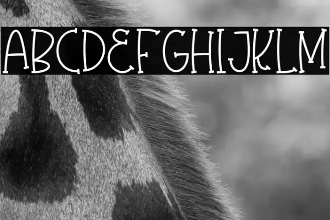 Olaugh Font examples