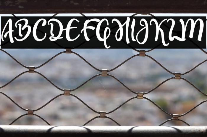 Olcigatte DEMO Example 1