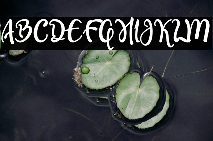 Olcigatte DEMO Example 3