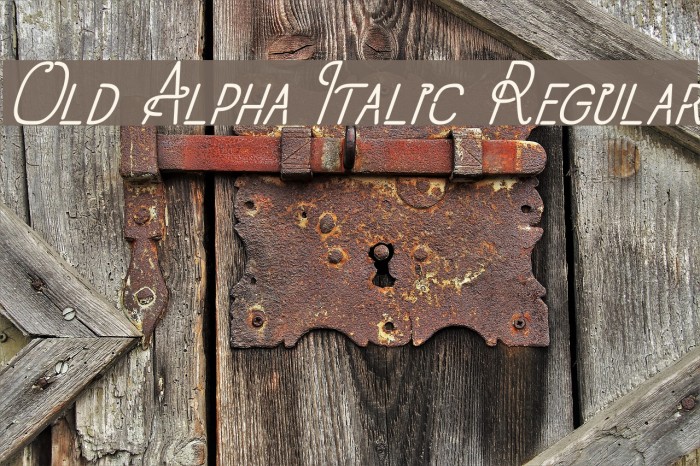 Old Alpha Italic Regular Font examples