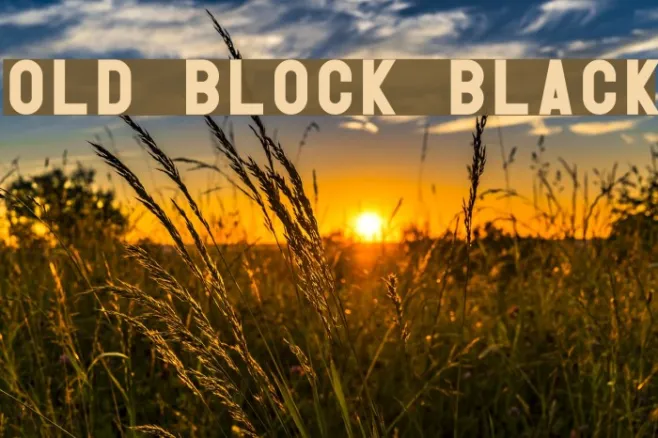 Old Block Black Example 1