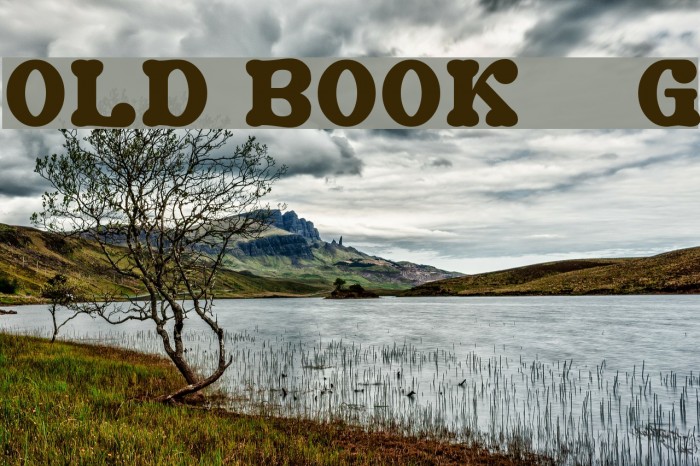 Old Book__G Example 2