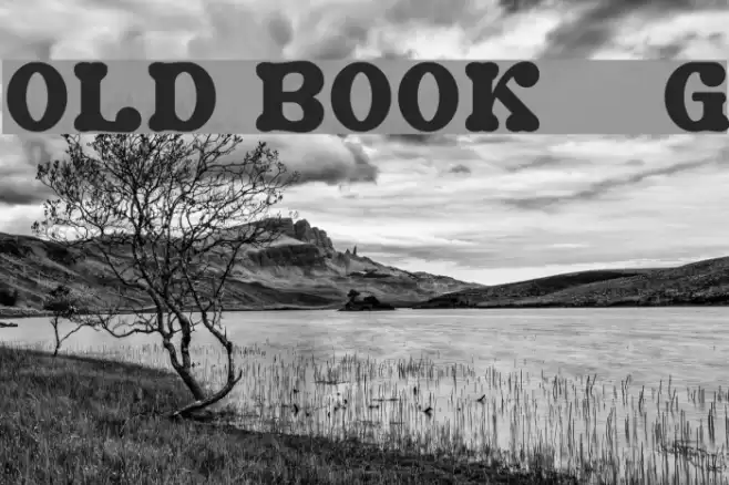 Old Book__G Font examples