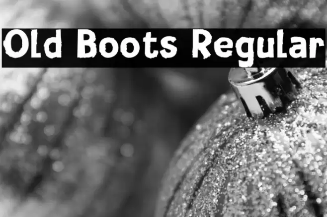 Old Boots Regular Font examples