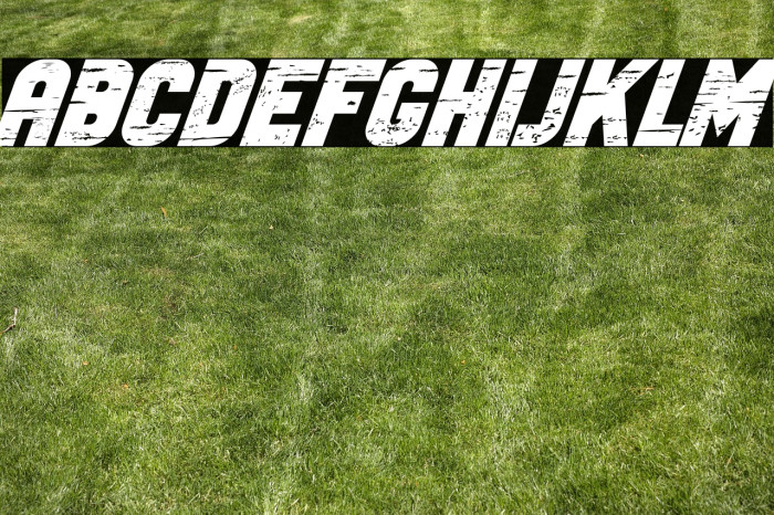 Old Car Bold Italic Example 2