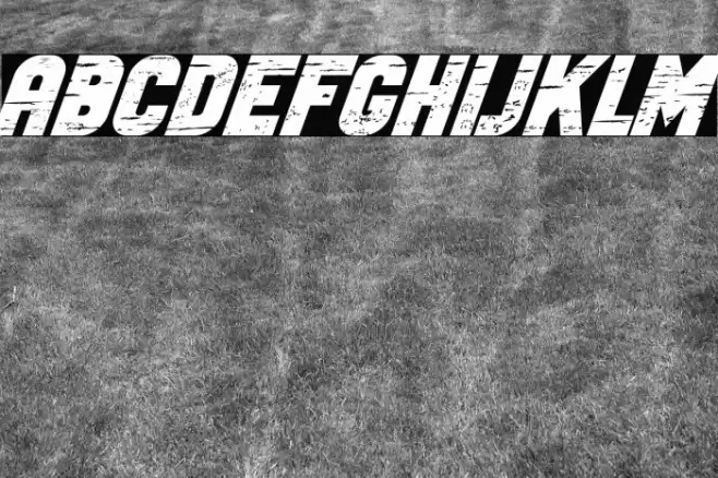 Old Car Bold Italic Font examples