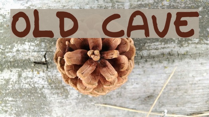 Old Cave Font examples