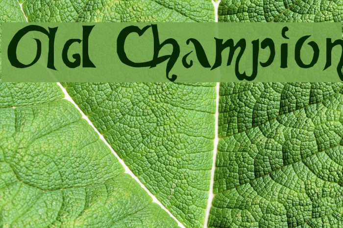 Old Champion Font examples