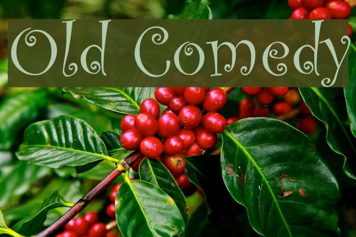 Old Comedy Font examples