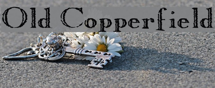 Old Copperfield Schriftart examples