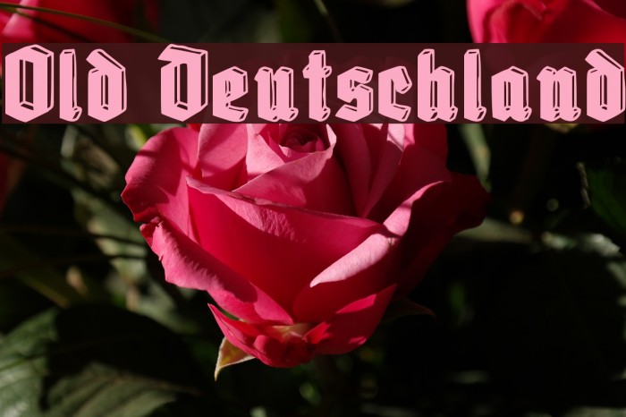 Old Deutschland Font examples