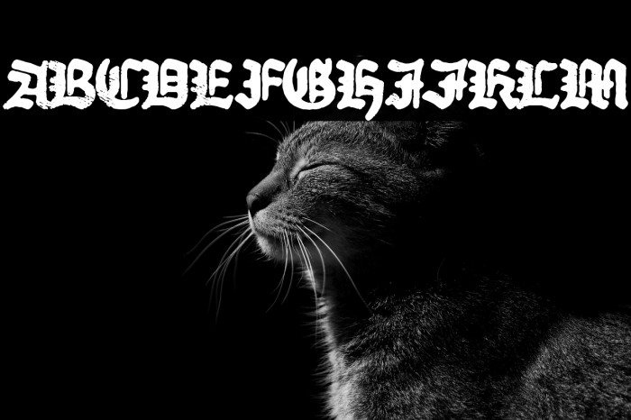 Old Dictator Example 1