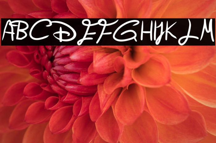 Old Disney (Redone) Regular Example 1